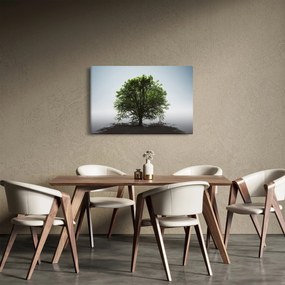 Obraz - Osamotený strom (90x60 cm)