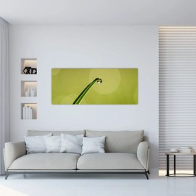 Obraz kvapky vody na tráve (120x50 cm)