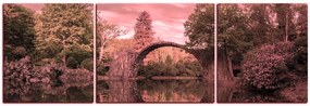 Obraz na plátne - Most v parku v Kromlau - panoráma 5246VC (90x30 cm)