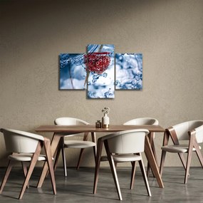 Obraz - detail maliny vo vode (90x60 cm)