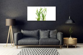 Obraz na akrylátovom skle Bambus stonka kvet rastlina 100x50 cm