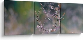 Obraz - Detail traviny (s hodinami) (90x30 cm)