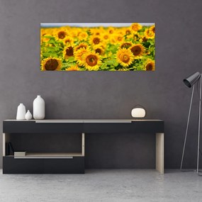 Obraz - Slnečnica (120x50 cm)