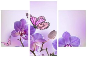 Obraz motýľa na kvetoch orchidee (90x60 cm)