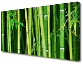 Obraz Canvas Bambusový les bambus príroda 120x60 cm