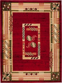 TA Koberec C766A ČERVENÝ ATLAS PP Rozmer: 180x250 cm