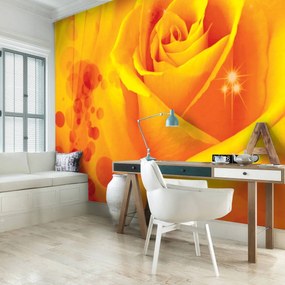 Fototapeta - Abstraktné umenie (152,5x104 cm)