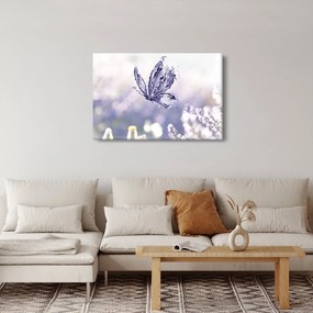 Obraz - Motýľ a levanduľa (90x60 cm)