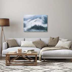 Sklenený obraz - Stromy v hmle (70x50 cm)