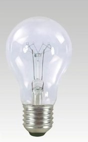 TECHLAMP Klasická žiarovka na priemyselné použitie, E27, A55, 40W, teplá biela