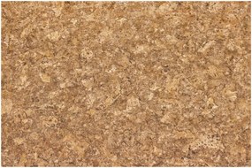 PVC podlaha Inspire Kyara 620M béžová / hnedá