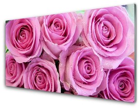 Nástenný panel  Ruže kvety rastlina 120x60 cm