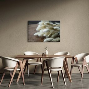 Obraz - Zajačí chvostík (90x60 cm)