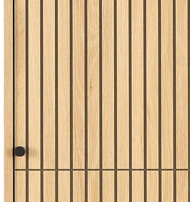 Šatníková skriňa OLIVIA 51x200 cm dub