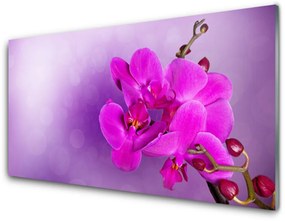 Obraz plexi Kvety plátky orchidea 125x50 cm