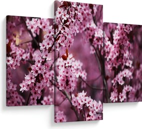 Obraz - Ružová sakura (90x60 cm)