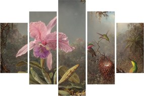 Obraz - Martin Johnson Heade, Cattleya Orchid and Three Hummingbirds, reprodukcia (150x105 cm)