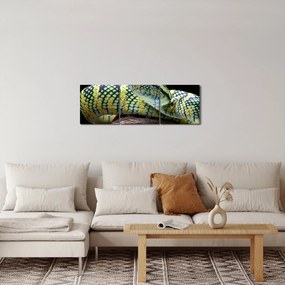 Obraz - Štrkáč Waglerov (s hodinami) (90x30 cm)
