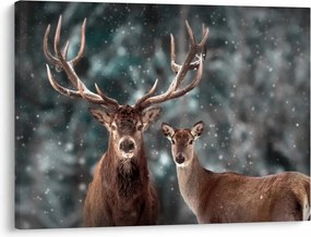 Obraz - Jeleň a laň v zasneženom lese (70x50 cm)