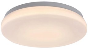 Rabalux 77133-LED Kúp. stropné svietidlo LOWAR LED/12W/230V IP44 3000/4000/6000K RL77133