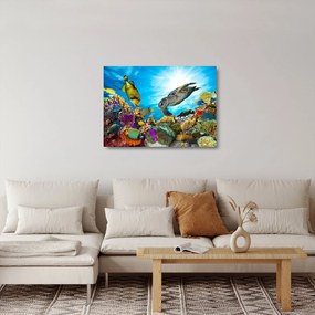 Sklenený obraz koralového útesu (70x50 cm)