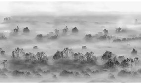 VLADILA Foggy Landscape Grey - tapeta