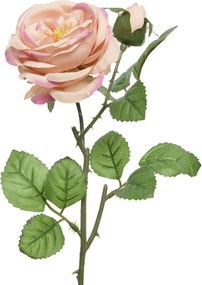 XXXLutz RUŽA 42 cm - Kvety & kvetináče - 0037546700