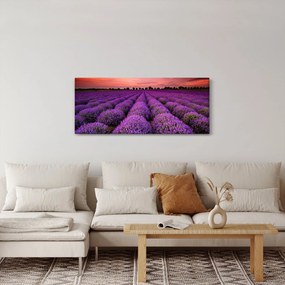 Obraz - Levanduľové pole (120x50 cm)