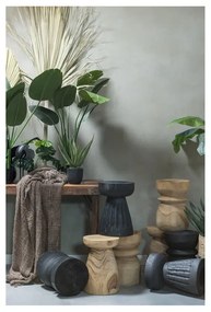 Čierna záhradná stolička z dreva paulownia WOOOD Borre