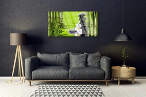 Obraz na akrylátovom skle Bambus kamene rastlina 100x50 cm