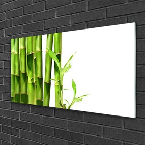 Obraz na skle Bambus rastlina 140x70 cm