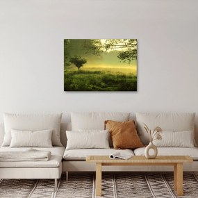Obraz - Prebúdzajúci sa les (70x50 cm)