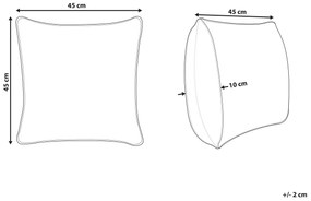 Všívaný dekoratívny vankúš so strapcami 45 x 45 cm béžová/sivá ALOCASIA Beliani