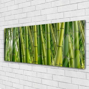 Obraz plexi Bambusový les bambusové výhonky 125x50 cm