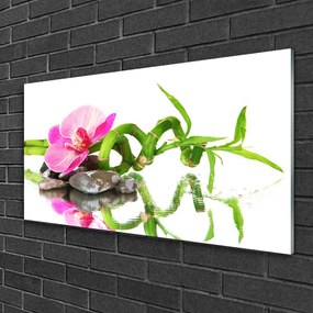 Skleneny obraz Bambus kvet kamene umenie 140x70 cm