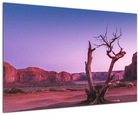 Obraz stromu u červených skál (90x60 cm)