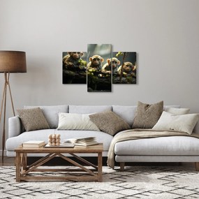 Obraz - Opičky (90x60 cm)