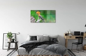 Sklenený obraz Strom farebný papagáj 120x60 cm