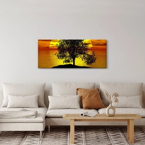 Obraz siluety stromu (120x50 cm)