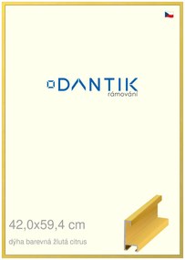 DANTIK rám na obraz 42x59,4 | ALU Dýha barevná žlutá citrus (Plexi Čiré)