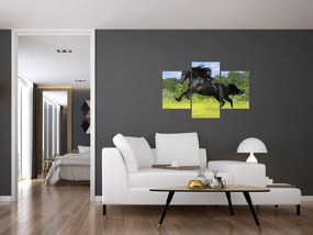 Obraz - Kôň s vzdušnou hrivou (90x60 cm)