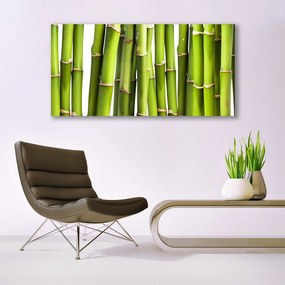 Obraz plexi Bambus rastlina príroda 120x60 cm