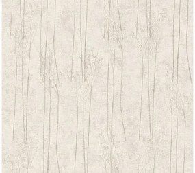 Vliesová tapeta prírodná šedo-béžová 10,05x0,53 m