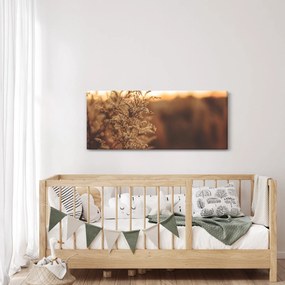 Obraz kvitnúcej trávy (120x50 cm)