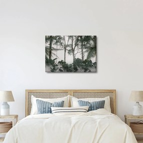 Obraz - Jungle v rannej hmle (70x50 cm)