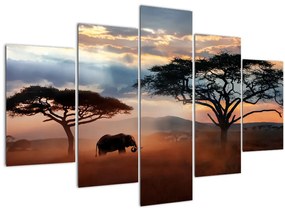 Obraz - Národný park Serengeti, Tanzánia, Afrika (150x105 cm)