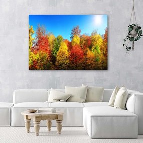 Gario Obraz na plátne Jesenné stromy Rozmery: 60 x 40 cm