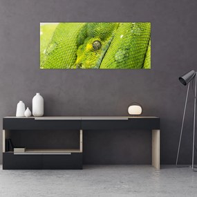 Obraz hada (120x50 cm)