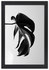 Gario Plagát Čierna a biela monstera list Farba rámu: Hnedá, Rozmery: 30 x 45 cm