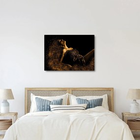 Obraz - Žena zo zlata (70x50 cm)